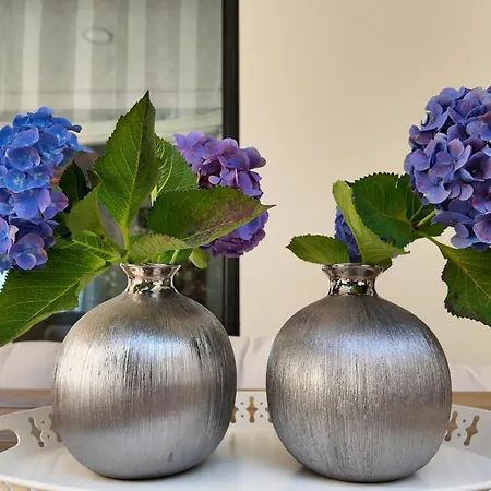 Encinas - Confort Y Estilo En Llanes Вилла