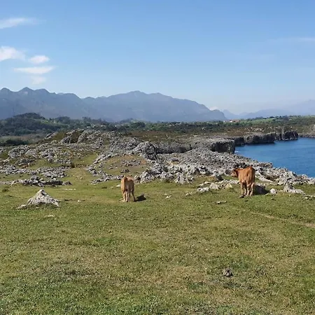 Вилла Encinas - Confort Y Estilo En Llanes *